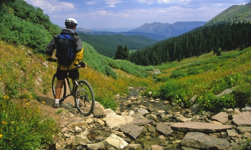 Rocky Mountain Mountain Biking