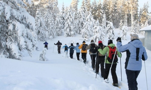 Rocky Mountain Snowshoe