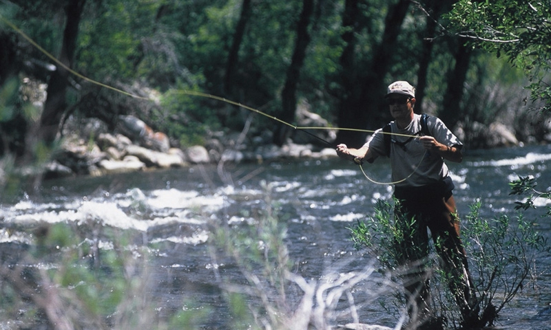 Estes Park Fishing