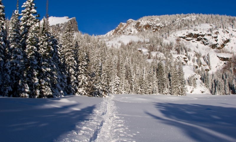 Ski Tracks in Rocky Mountain National Park