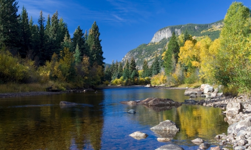 Cache la Poudre River in Roosevelt National Forest