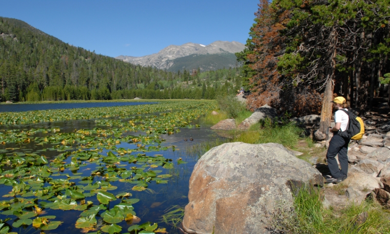 Hiking near Cub Lake