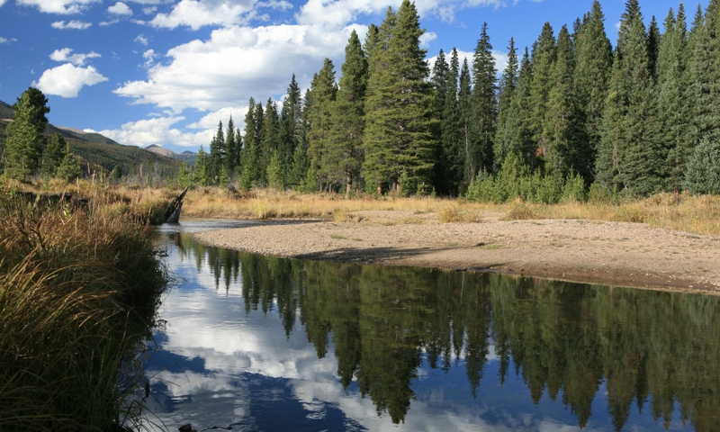 Near its source in the Rockies
