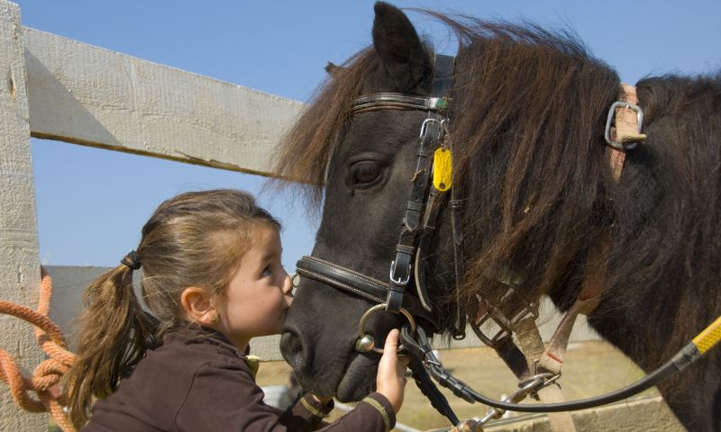 Little Girl with Pony