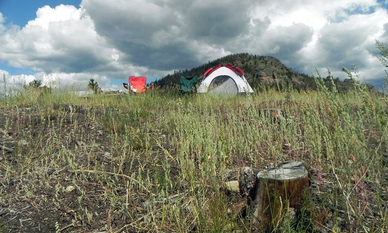Glacier Basin Campground