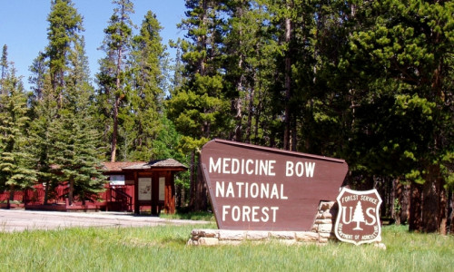 Medicine Bow Mountains
