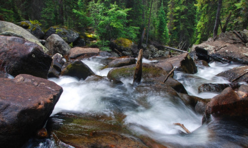 Cascade Falls Trail