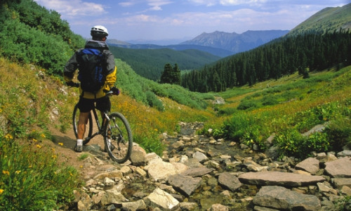 Biking & Bike Rentals