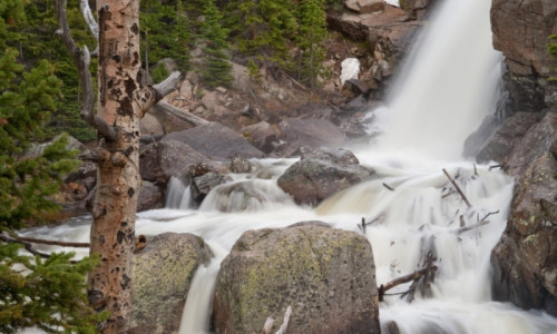 Alberta Falls Trail
