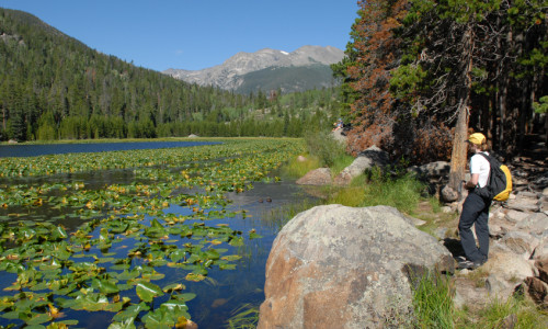 Cub Lake Trail