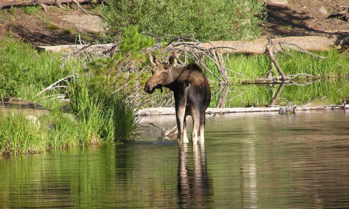 Sprague Lake
