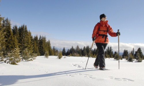 Snowshoeing